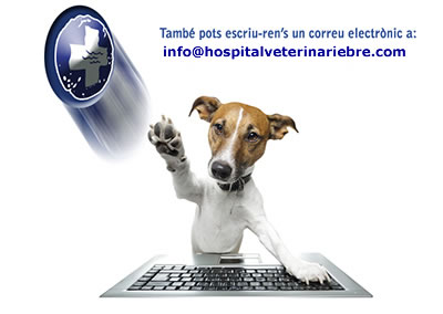 ENVIAN'S UN CORREU AMB LA TEVA CONSULTA