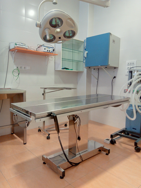 L'Hospital Veterinari de l'Ebre canvia d'ubicació, millorem les instal·lacions, els serveis i l'accessibilitat