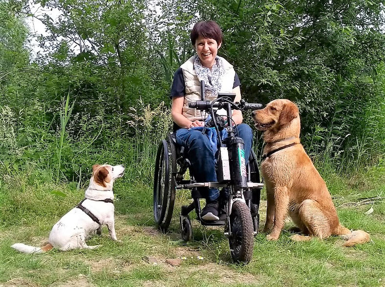 Els gossos col·laboren amb la recuperació de persones malaltes i discapacitades