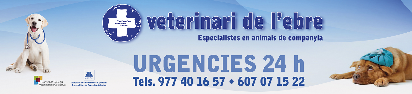 La Clínica Veterinària de l'Ebre s'ha convertit amb un referent a les Terres de l'Ebres La Clínica Veterinària de l'Ebre s'ha convertit amb un referent a les Terres de l'Ebres