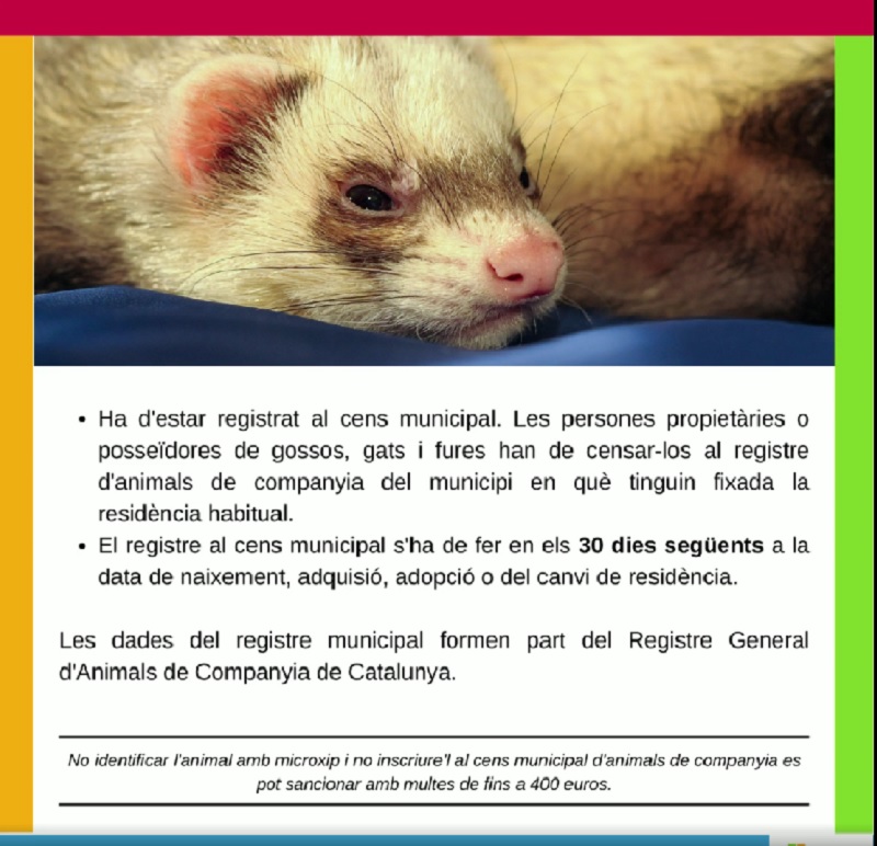 Identificació d'Animals de Companyia es pot sancionar amb multes de fins a 400 euros Identificació d'Animals de Companyia